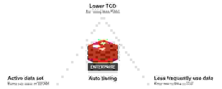 Auto tiering improves TCO by combining DRAM and SSDs